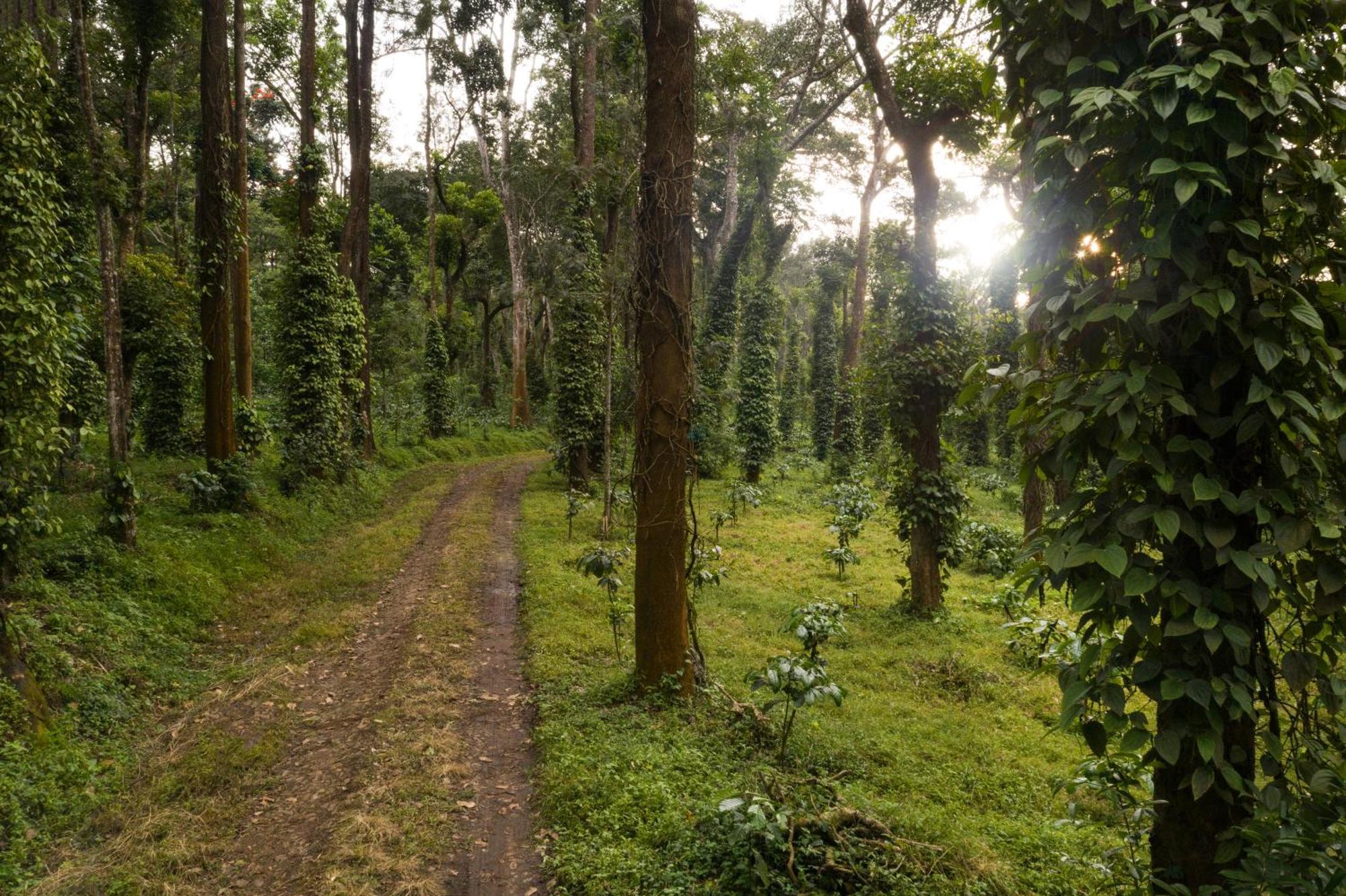 Tusker Trail By Luxunlock Hotel Suntikoppa Exterior foto